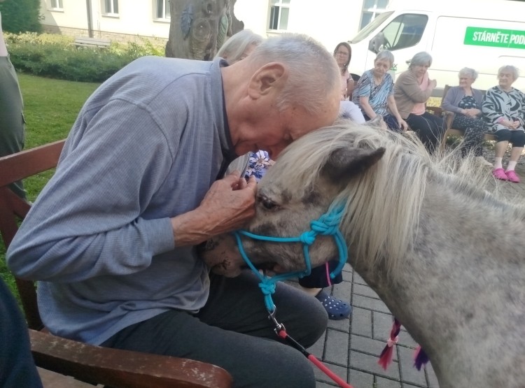 Návštěva terapeutického poníka