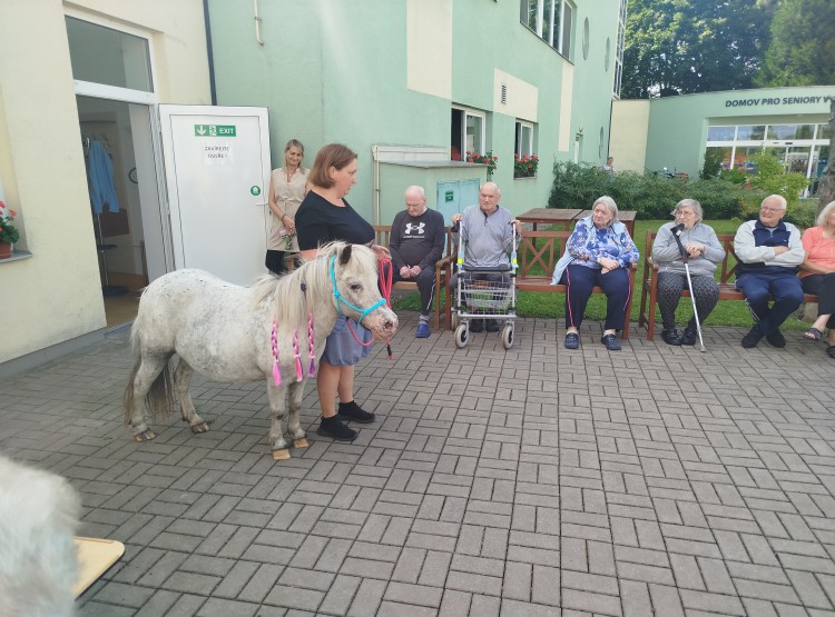 Návštěva terapeutického poníka