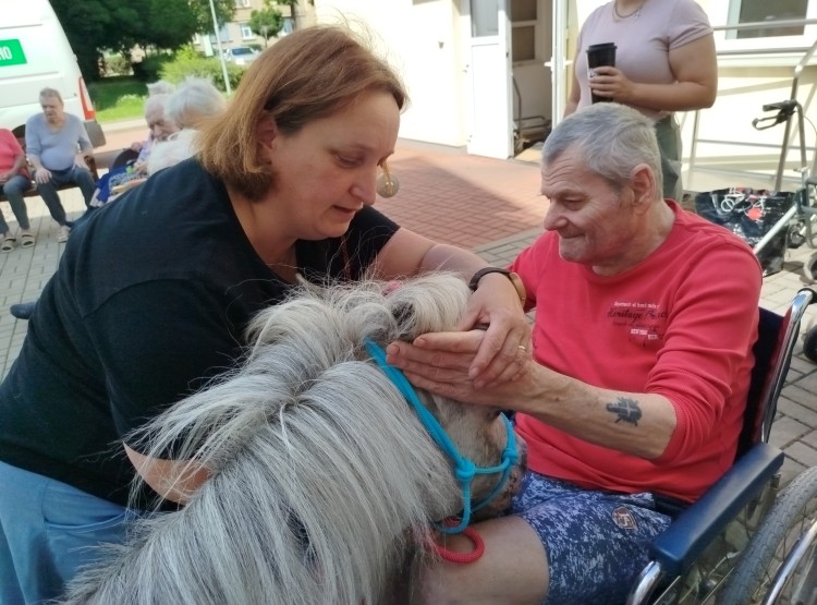 Návštěva terapeutického poníka