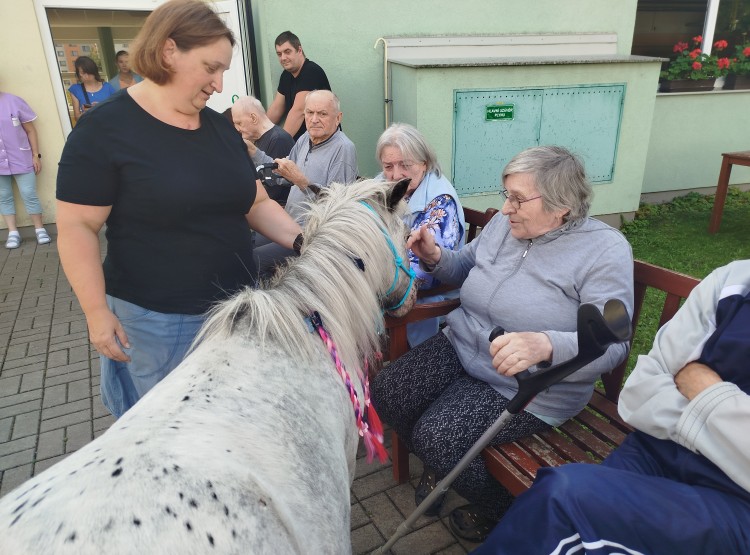 Návštěva terapeutického poníka
