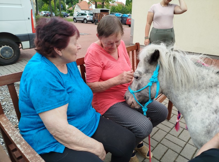 Návštěva terapeutického poníka