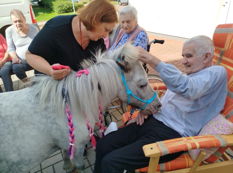Návštěva terapeutického poníka