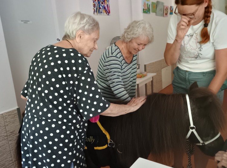 Pečení koláče, tvoření a milá návštěva v podobě poníka Poly