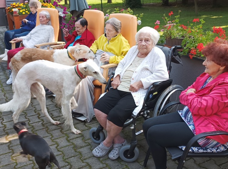 Srpnová zooterapie