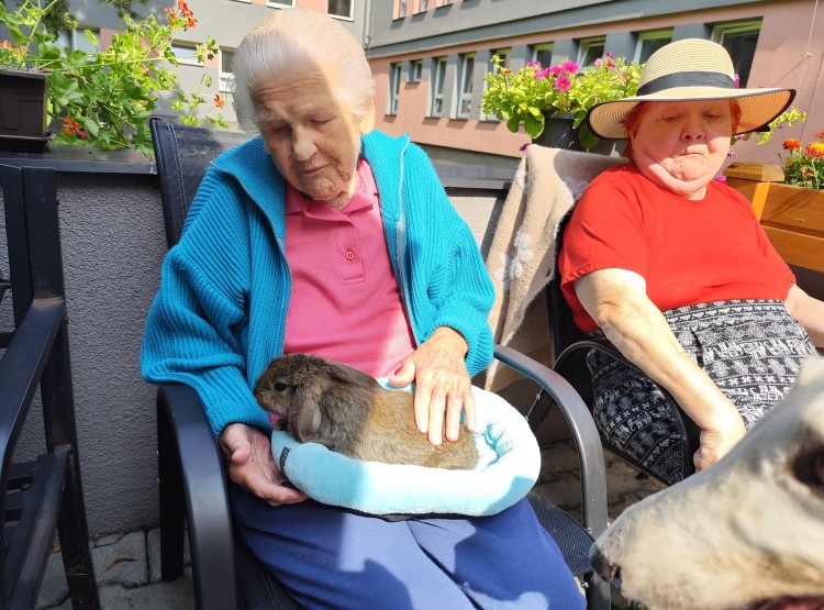 Srpnová zooterapie