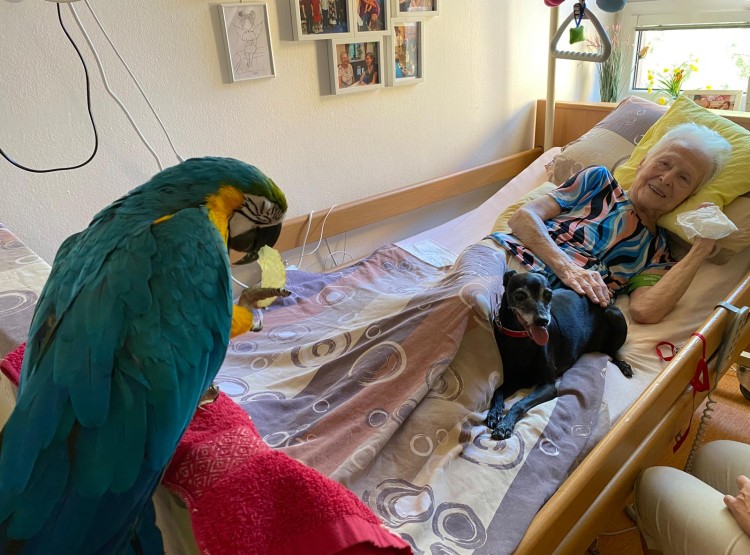 Zooterapie na pokojích klientů