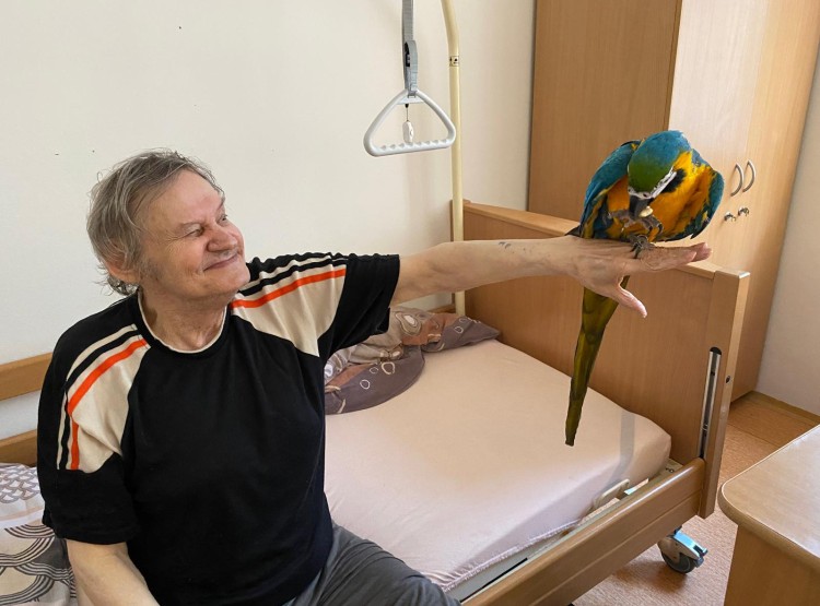Zooterapie na pokojích klientů