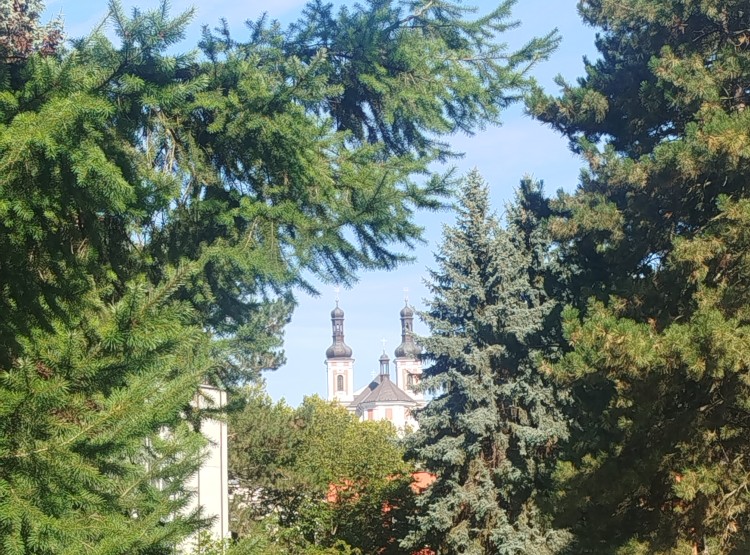 Hamzův park a arboretum