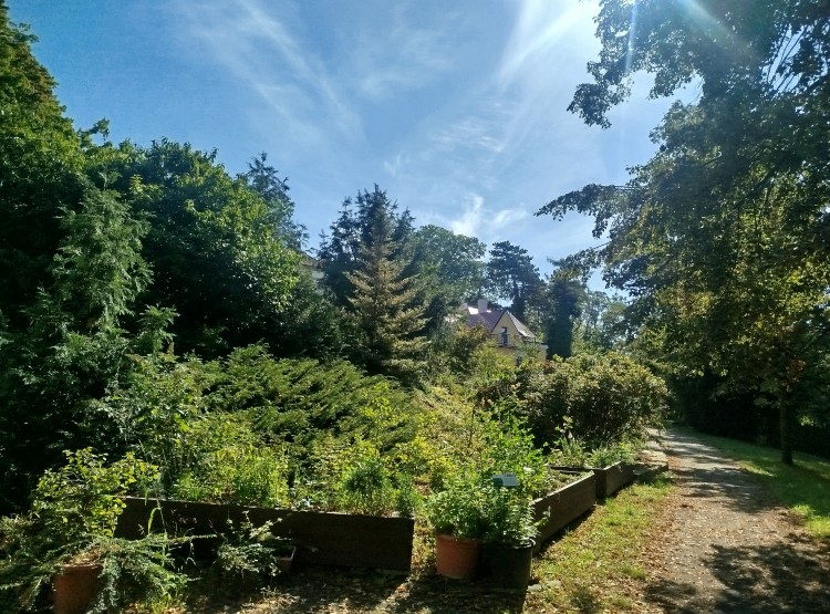 Hamzův park a arboretum