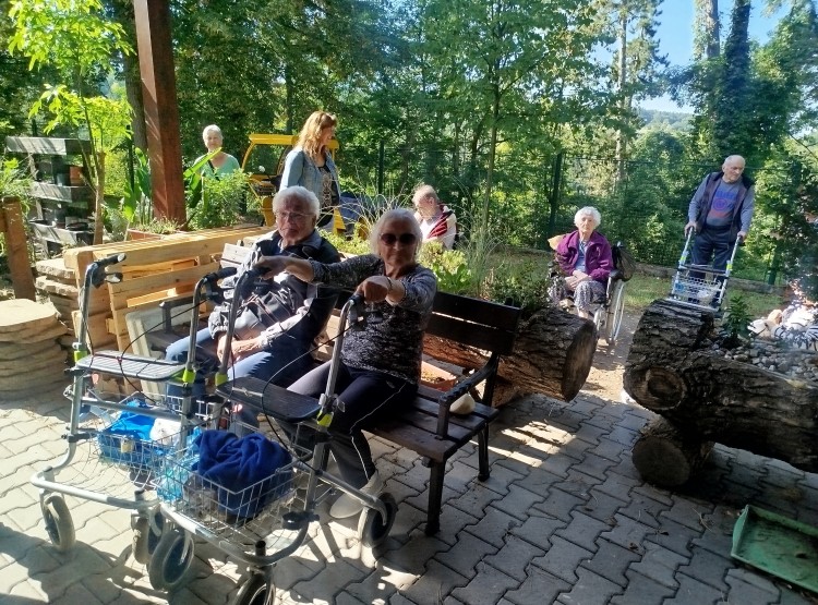 Hamzův park a arboretum