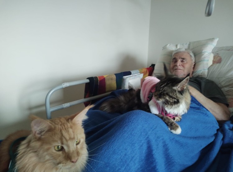 Mše svatá, felinoterapie i narozeninová oslava