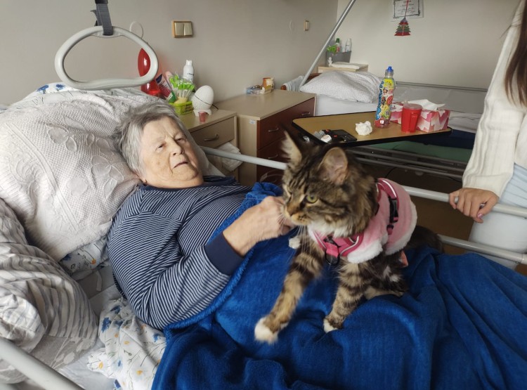Mše svatá, felinoterapie i narozeninová oslava
