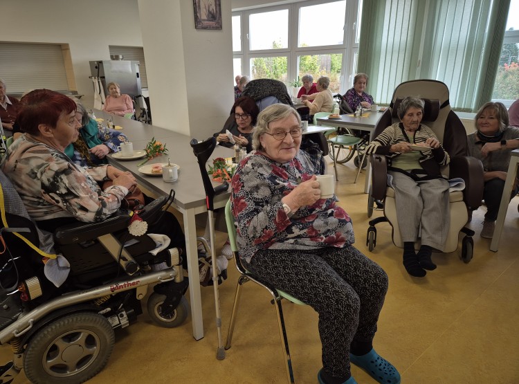 Mše svatá, felinoterapie i narozeninová oslava