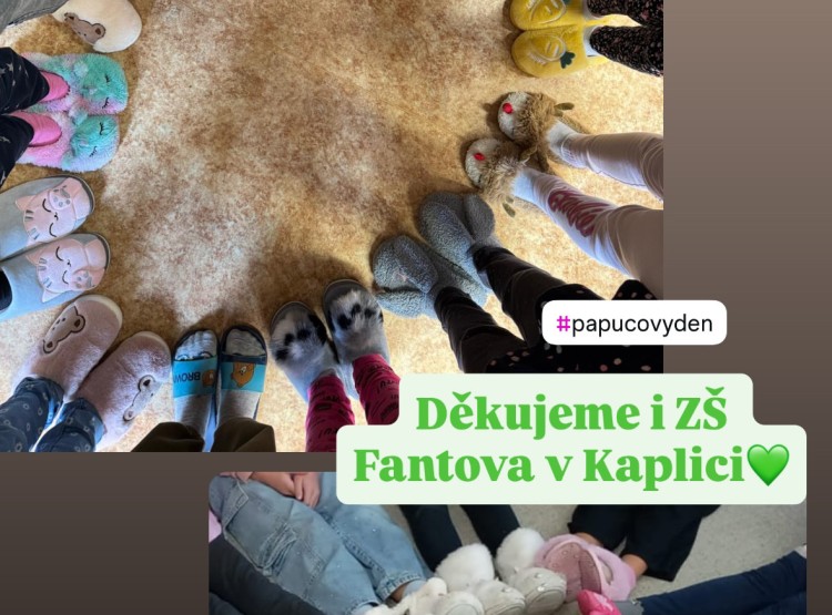 Děkujeme za takovou míru zapojení do papučového dne