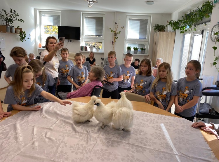 Mazlíčci propojují generaci