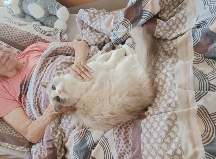 Mazlíčci propojují generaci