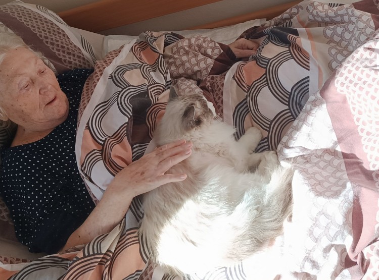 Mazlíčci propojují generaci