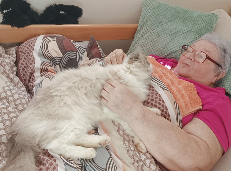 Mazlíčci propojují generaci