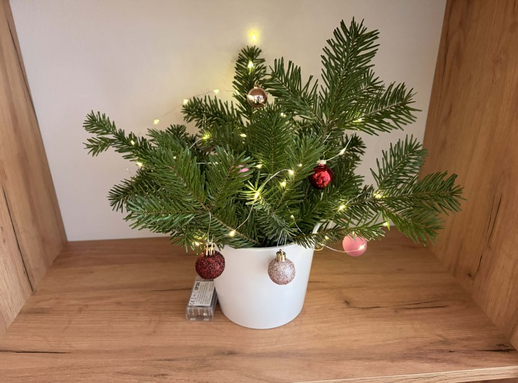 Vůně Vánoc v kulturní místnosti