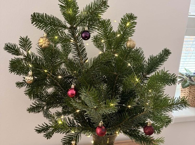 Vůně Vánoc v kulturní místnosti