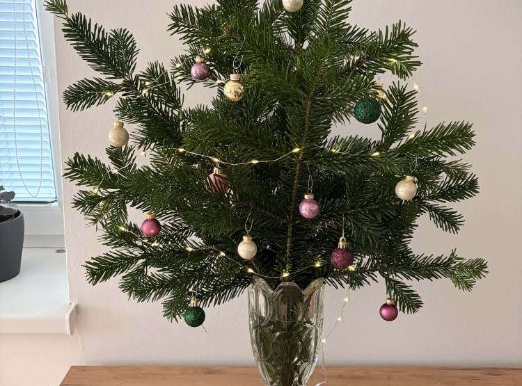 Vůně Vánoc v kulturní místnosti