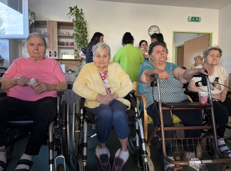 Odpoledne při punči a harmonice