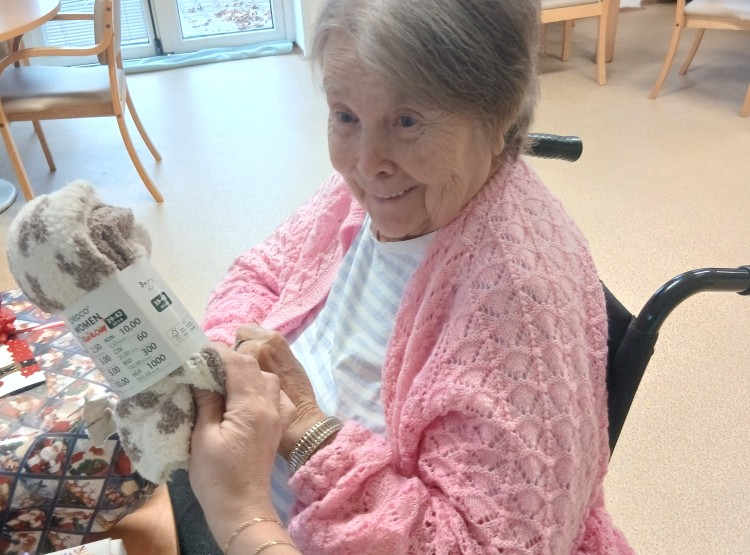 Štědrý den v Centru sociálních služeb Domus