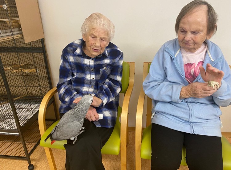 Zooterapie s kůzlátkem Punčoškou