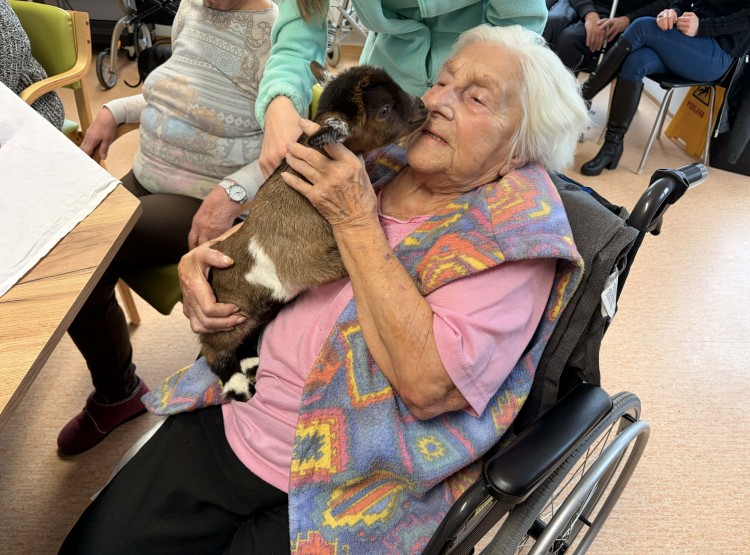 Zooterapie s kůzlátkem Punčoškou