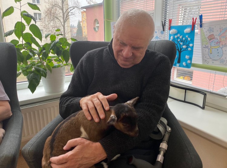 Zooterapie s kůzlátkem Punčoškou