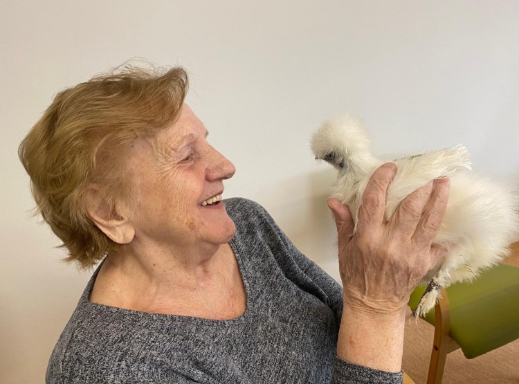 Zooterapie s kůzlátkem Punčoškou