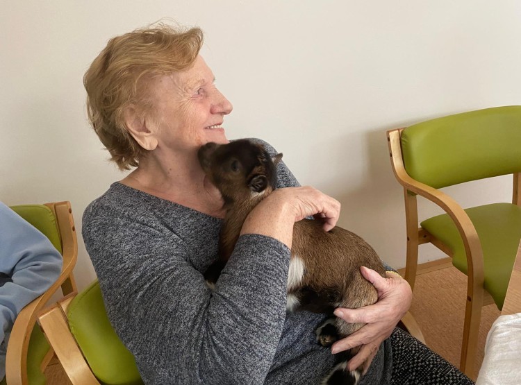 Zooterapie s kůzlátkem Punčoškou