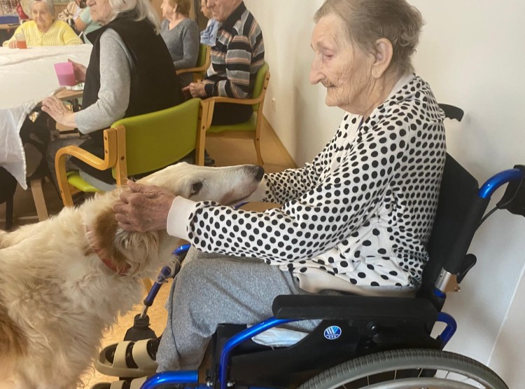 Zooterapie s kůzlátkem Punčoškou