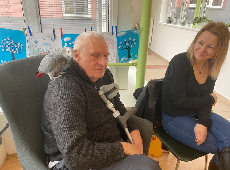 Zooterapie s kůzlátkem Punčoškou