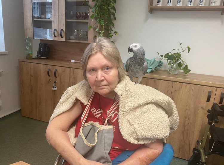 Zooterapie s kůzlátkem Punčoškou