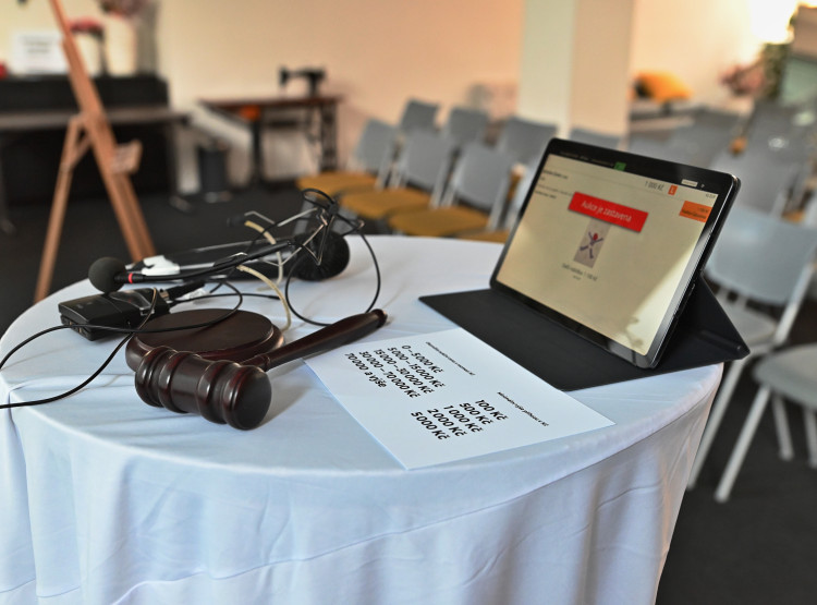 Umění pomáhalo Domácímu hospici Ledax už počtvrté