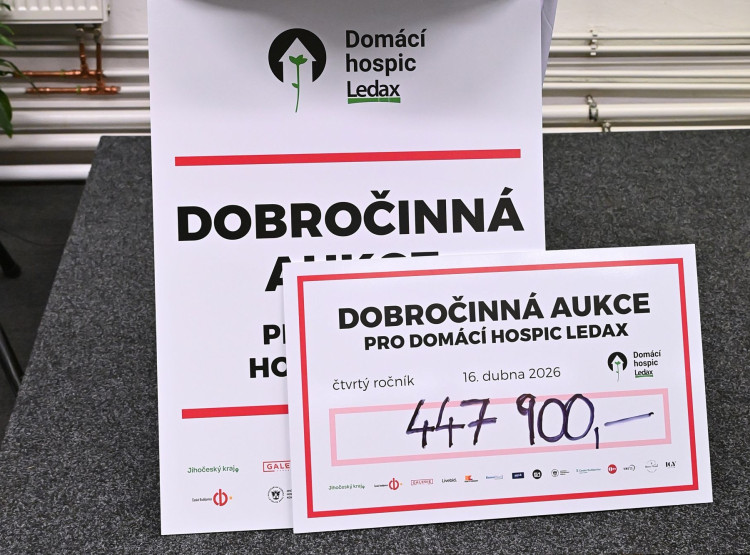 Umění pomáhalo Domácímu hospici Ledax už počtvrté