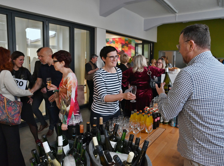 Umění pomáhalo Domácímu hospici Ledax už počtvrté