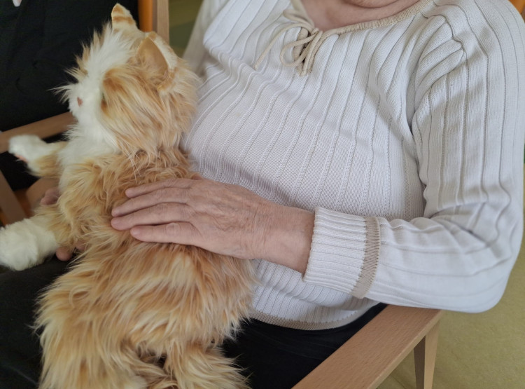 Terapeutická kočka