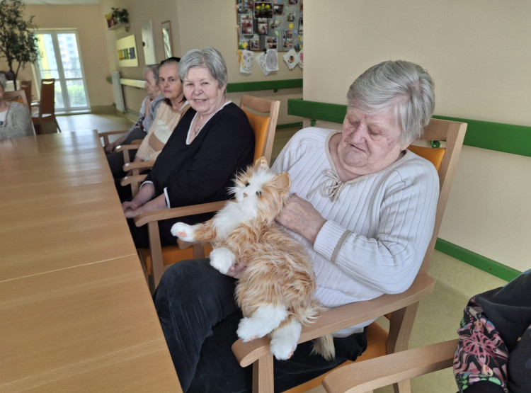 Terapeutická kočka