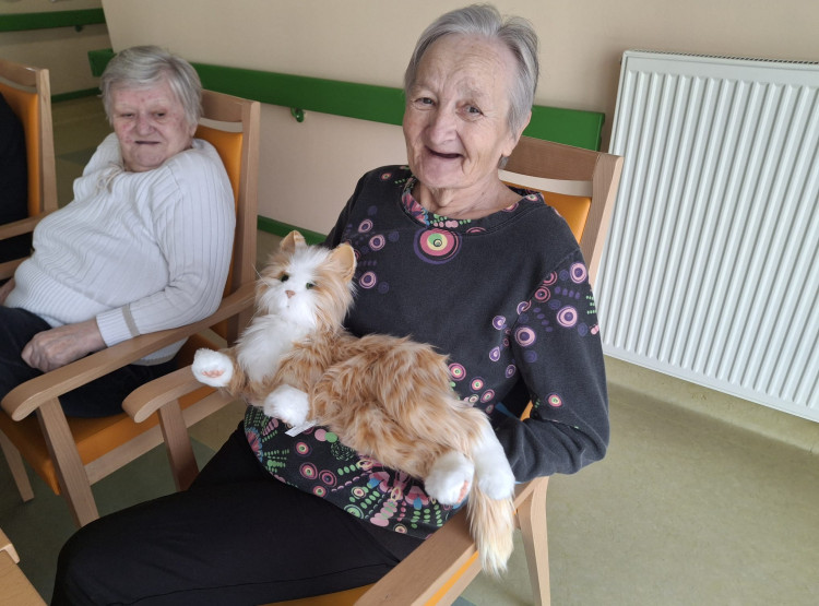 Terapeutická kočka