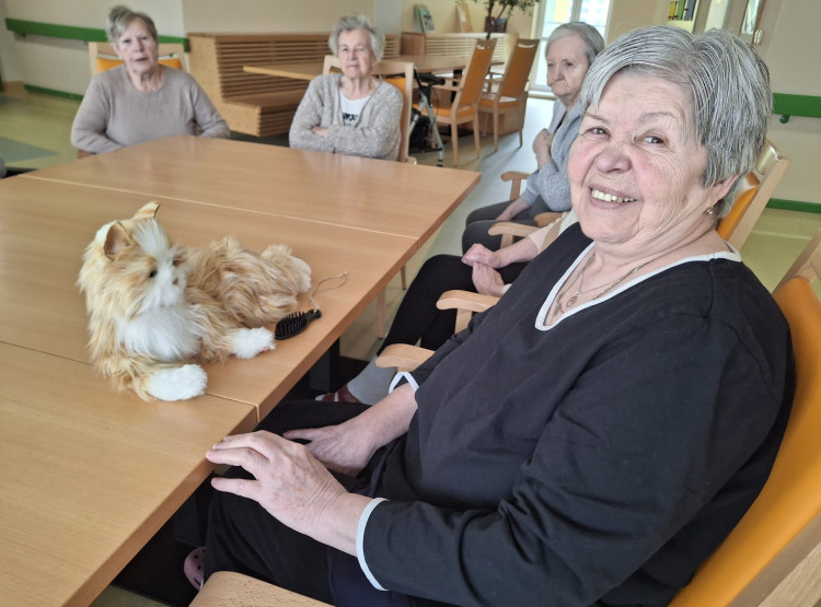 Terapeutická kočka