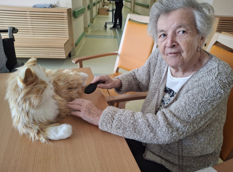 Terapeutická kočka